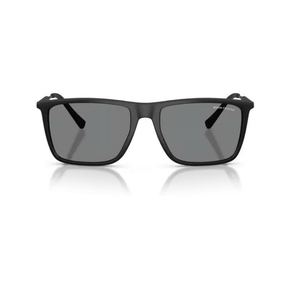 Kính Mát Armani Exchange 0AX4160SF_80788757 Matte black